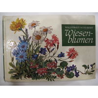 В.Шуберт. Луговые цветы (на немецком языке).