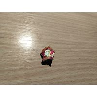 Пионер Всегда Готов