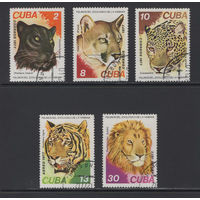 Фауна Кошки Куба 1977  Хищные кошки - Черная пантера, Пума, Леопард, Тигровая пантера, Лев #Used