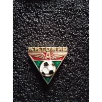 Житомир футбол