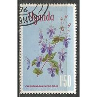 Уганда. Ротека мириковидная. 1969г. Mi#115.