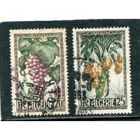 Французский Алжир. Флора, Фрукты страны