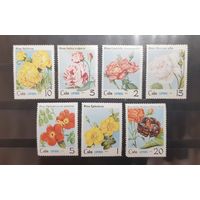 Куба. 1979 год. Флора. Цветы. Розы (состояние на фото) (237)