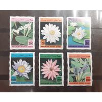 Афганистан. 1997 год. Флора. Цветы. Кувшинки и лилии (306)