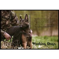 2020 Антигуа и Барбуда 5855/B812 Собаки на службе у человека 12,50 евро