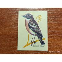 Спичечная этикетка Луговой Чекан