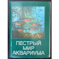 Комплект из 25 открыток (полный) Пестрый мир аквариума 1980 Выпуск 1
