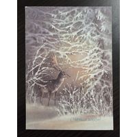 Исаков С Новым годом 1988 чистая открытка СССР