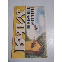 Загадки пчелиного улья. /36