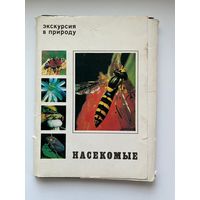 Экскурсия в природу. Насекомые. 1980 год. 23 из 25 открыток.
