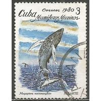 Куба. Горбатый кит. 1980г. Mi#2484.