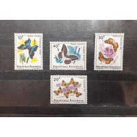 Руанда. Фауна. Бабочки (163)