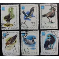 Марки СССР 1982 год. 5298. Международный орнитологический конгресс. Полная серия из 6 марок. Гашеные. 5299-5304. Гашеные.
