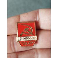Дружинник,малый