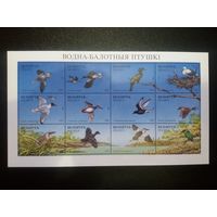 (Ф30-49) Фауна. Водно-болотные птицы и Утки. 1996. Серия