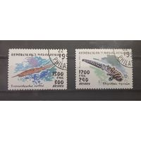 Мадагаскар. 1993 год. Фауна моря