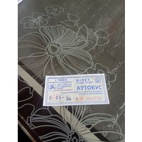 Пинск( талон на автобус)