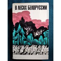 В лесах Белоруссии