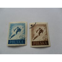 Польша, лыжный спорт