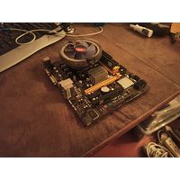 М. плата Biostar A960D+ Ver. 6.2 (AM3 и AM3+), Процессор. Комплект
