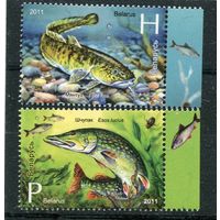 Беларусь 2011. Рыбы водоемов Беларуси