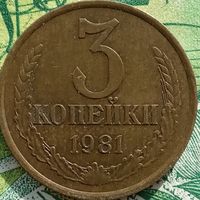 3 копейки 1981 шт3.2