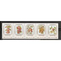 ФФ2 Сирия 1974 Плоды