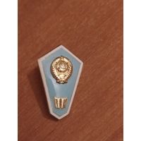 Знак об окончании гуманитарного техникума.