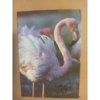 Календарь 1991 Фламинго