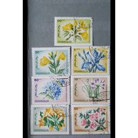 Монголия цветы 7шт