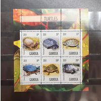 Гамбия. 2019 год. Фауна. Рептилии. Черепахи (1117)