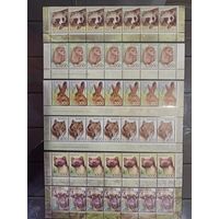 Марки Беларуси, полные нижние сцепки 11 стандарта, Дикие животные, КМ 733 - 737, 775, номера заказов подряд, 133 - 137  2009, 106 - 2009 каталог 51,9 евро