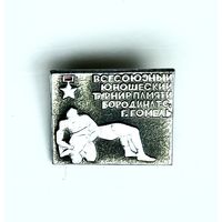 Знак Всесоюзный юношеский турнир памяти Бородина Т.С., г.Гомель