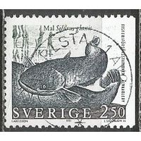 Швеция. Обыкновенный сом. 1991г. Mi#1650.