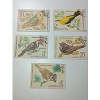 Распродажа коллекции с рубля ! Марки СССР  . Животные .