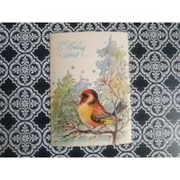 Открытка СССР 1982 год. Прошла почту. Л.Манилова .Состояние на скане.