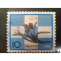 Япония, 1974. С Новым годом