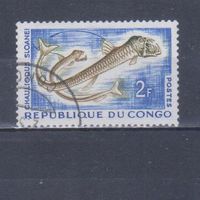 [2373] Конго 1961. Фауна.Рыбы.2 ф. Гашеная марка.