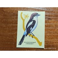 Спичечная этикетка Красноголовый Сорокопут