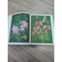 Книга цветы нашей родины