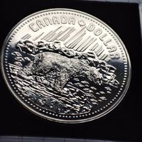 1 доллар Канады 1980 года.100 лет Арктическим территориям .Серебро.