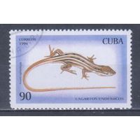 [1071] Куба 1994. Фауна.Ящерица. Гашеная марка. 4