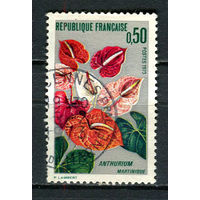 Франция - 1973 - Цветы. Антуриум - [Mi. 1818] - полная серия - 1 марка. Гашеная.  (LOT Gz9)-T3P35