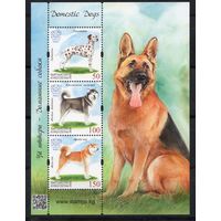 Кыргызстан 2020. Собаки блок (1024)