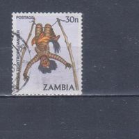 [2004] Замбия 1981. Культура и быт.Танцы.Костюмы. Гашеная марка.