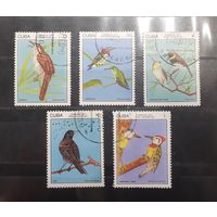 Куба. 1977 год. Фауна. Птицы (346)