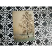 Открытка СССР 1981 год. Чистая. Н.Дейкин. Состояние на скане.