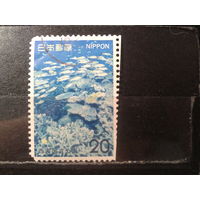 Япония, 1974. Национальный парк