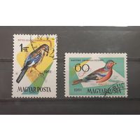 Венгрия. 1951 год. Фауна. Птицы