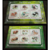 СЕРИЯ Блоков кошки собаки тигры  фауна  MNH